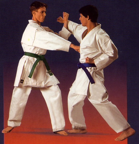 ma2007_karate_para_comunidade_html_5475ae51